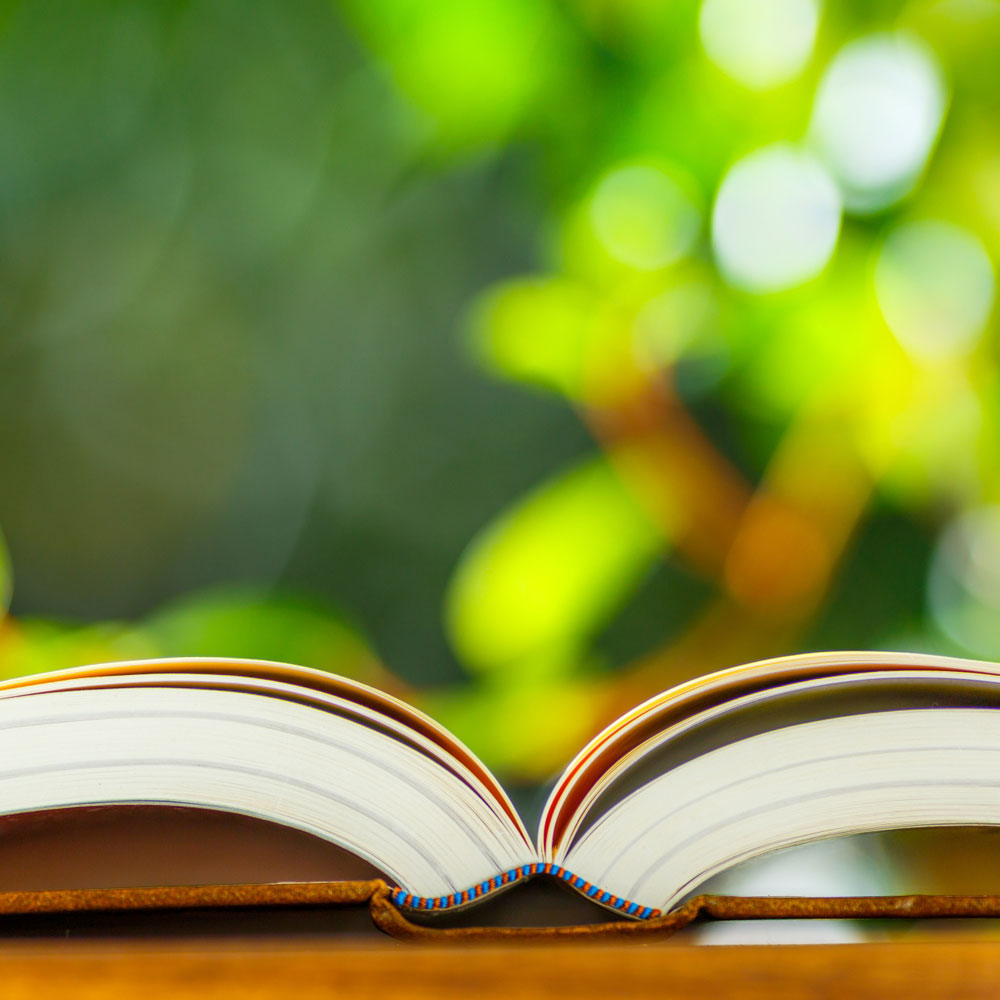 会社・法人登記