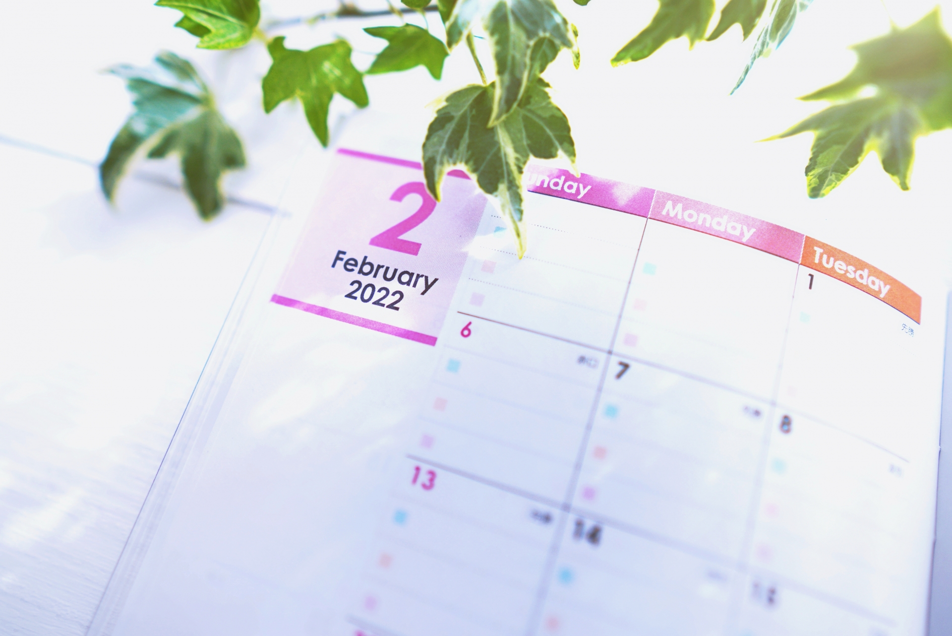 後見/やまざき司法書士事務所