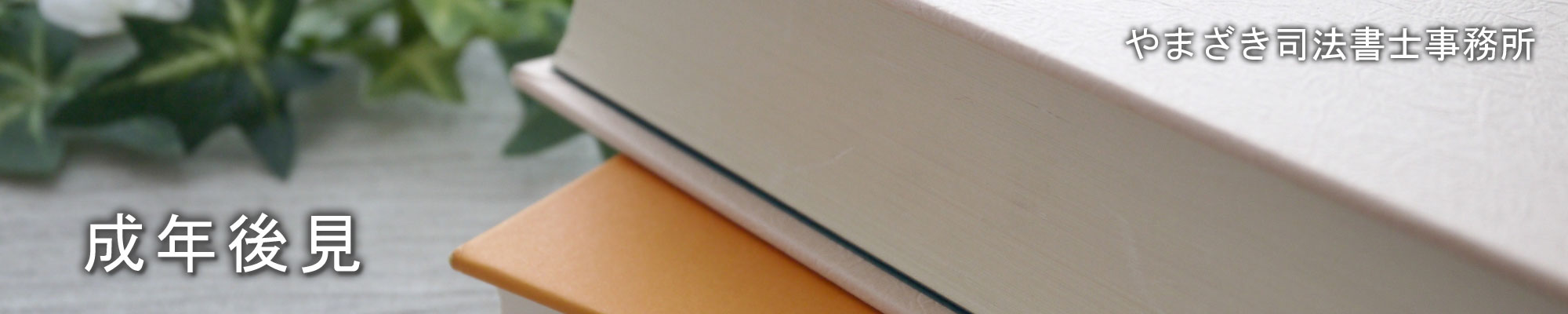 成年後見