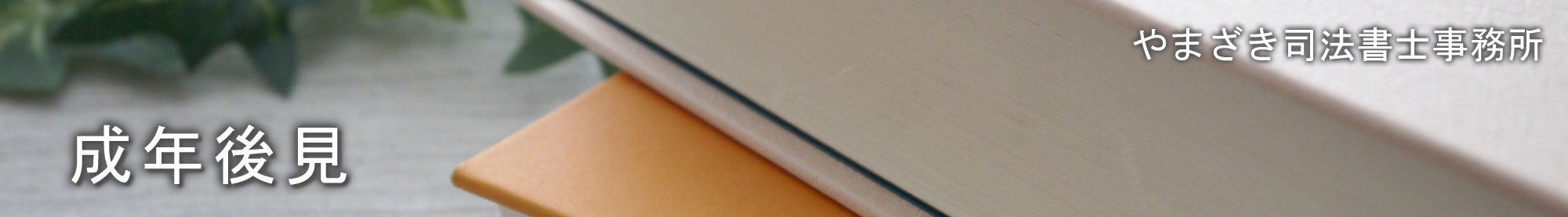 成年後見